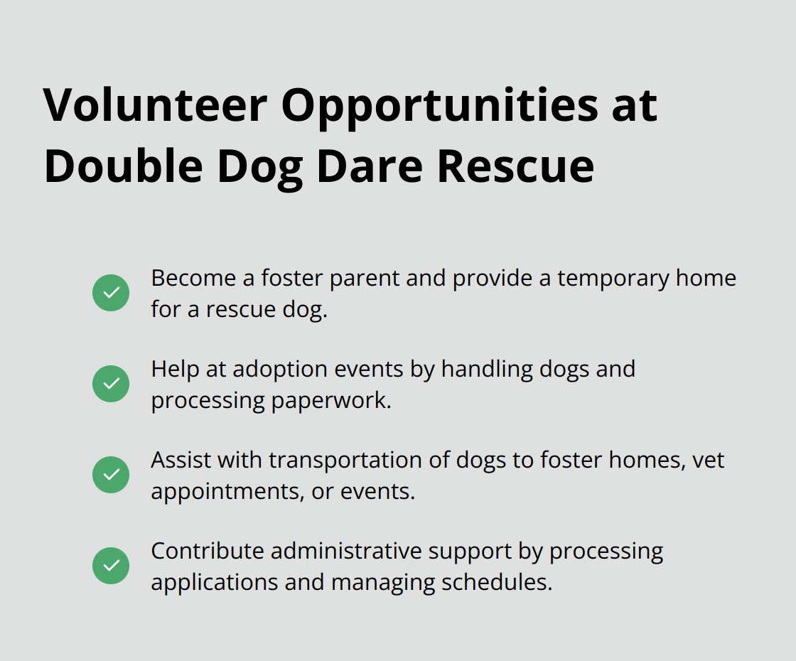 A list of volunteer opportunities at Double Dog Dare Rescue, including fostering, helping at adoption events, assisting with transportation, and contributing administrative support.
