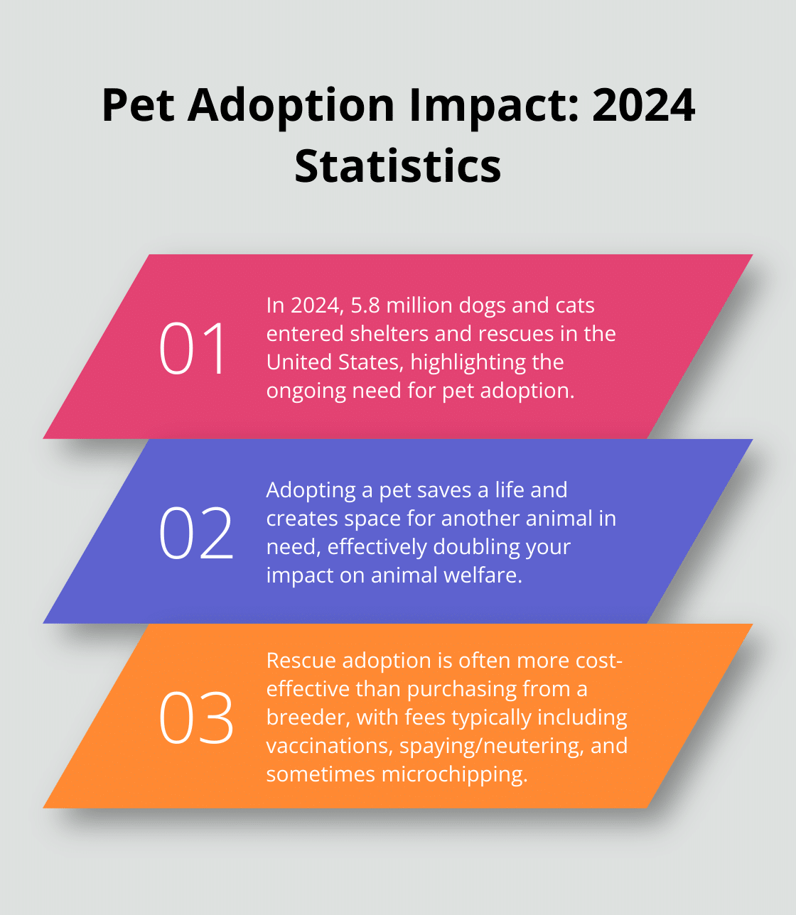 An ordered list chart showing the impact of pet adoption, including the number of animals entering shelters and the benefits of adopting.