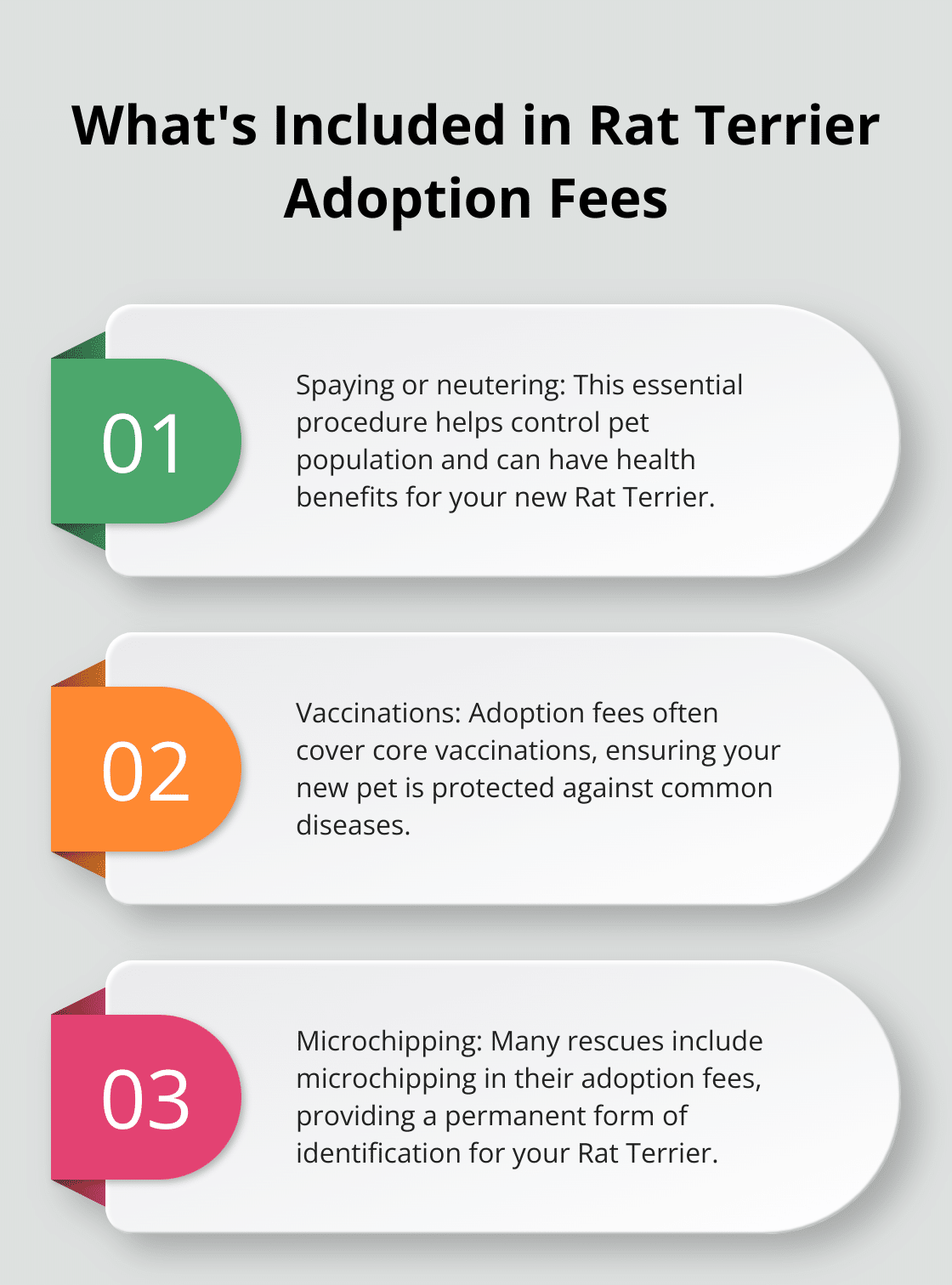 An ordered list chart showing the services typically included in Rat Terrier adoption fees, which range from $200 to $400. - rat terrier dog rescue