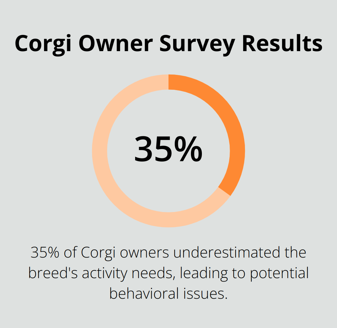 Pie chart showing 35% of Corgi owners underestimated the breed's activity needs