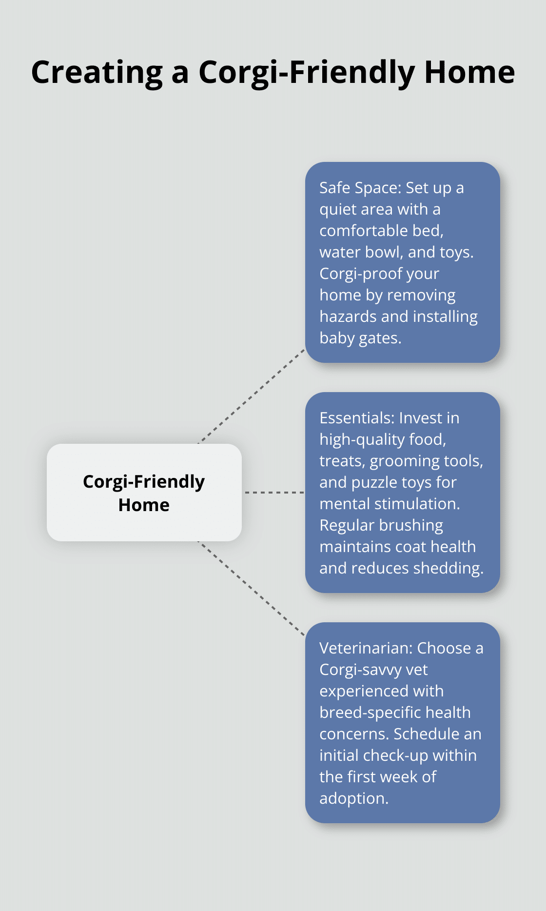 Hub and spoke chart showing key elements for a Corgi-friendly home: Safe Space, Essentials, and Veterinarian - rescue dog corgi