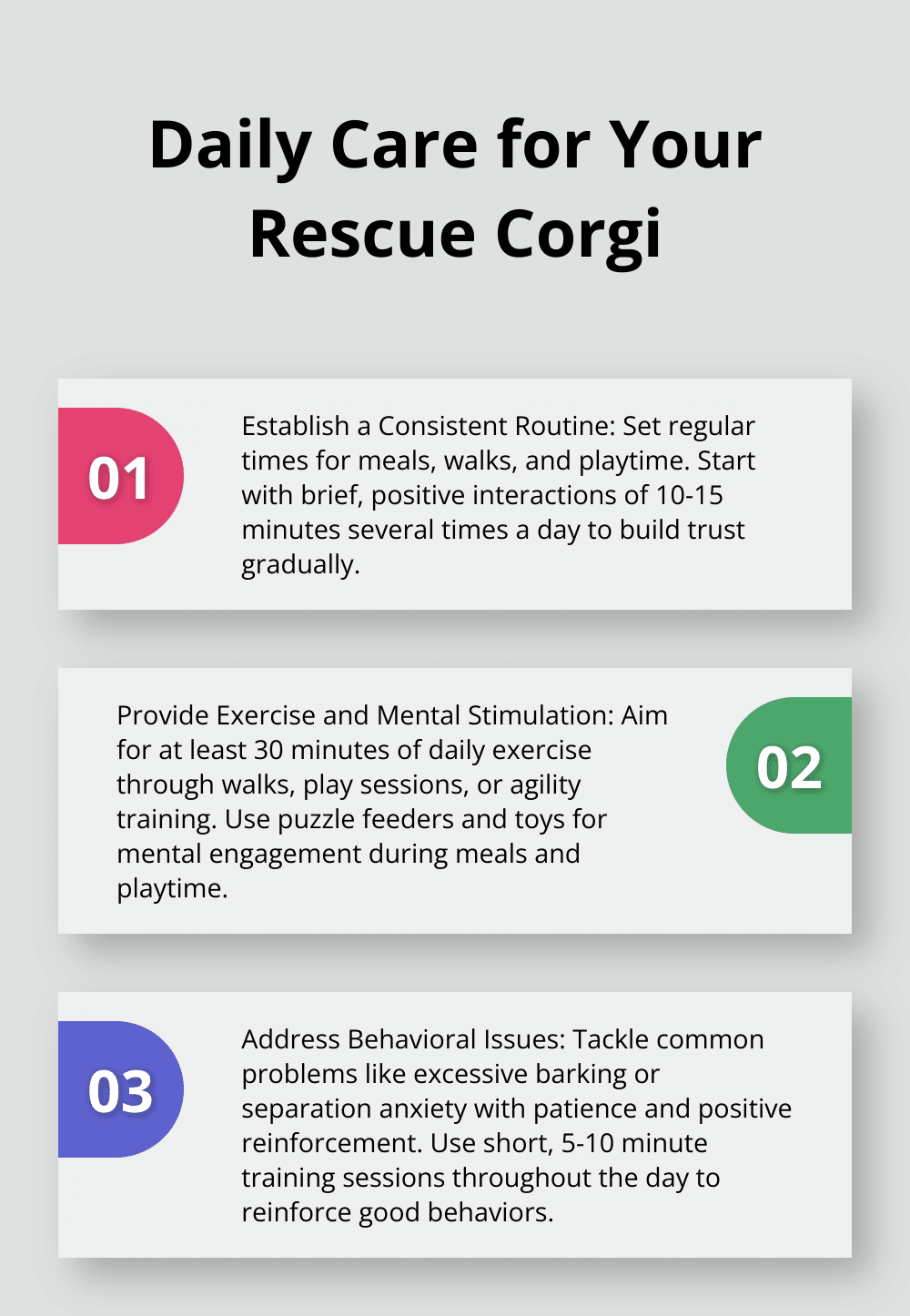 Ordered list chart showing three key aspects of daily care for a rescue Corgi: Consistent Routine, Exercise and Mental Stimulation, and Behavior Management - rescue dog corgi