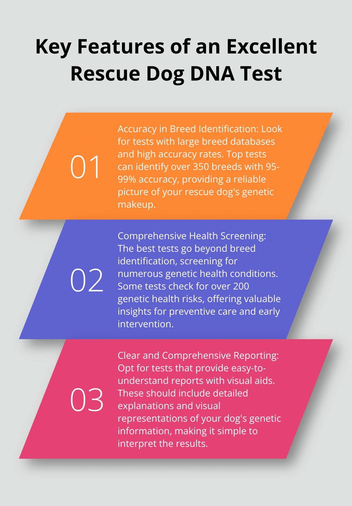 An ordered list chart displaying three crucial features of a high-quality rescue dog DNA test: accuracy in breed identification, comprehensive health screening, and clear reporting.