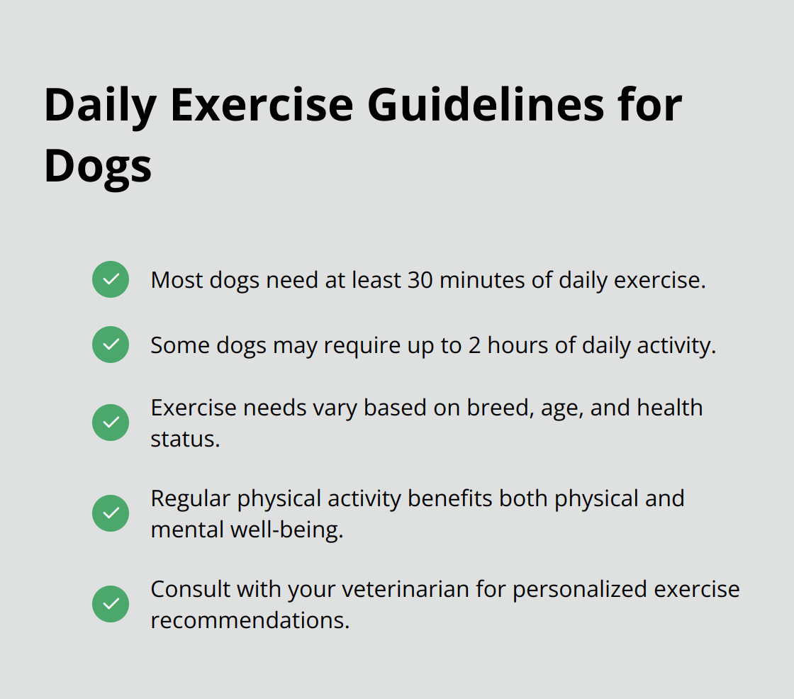 A checkmark list chart showing daily exercise recommendations for dogs, including minimum exercise time, maximum exercise time, and factors affecting exercise needs. - tips for new dog owners