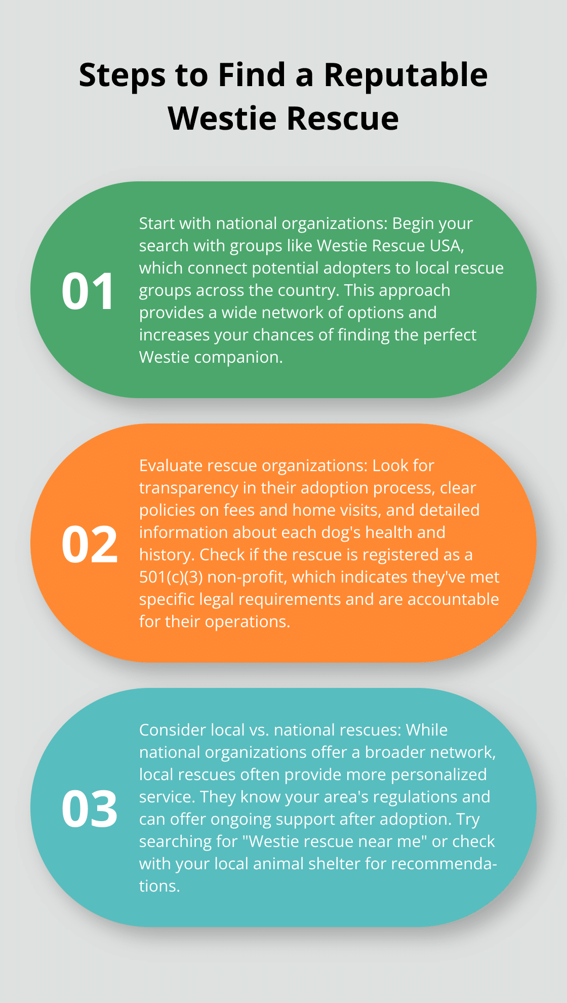Ordered list chart outlining three key steps to find and evaluate a reputable Westie rescue organization