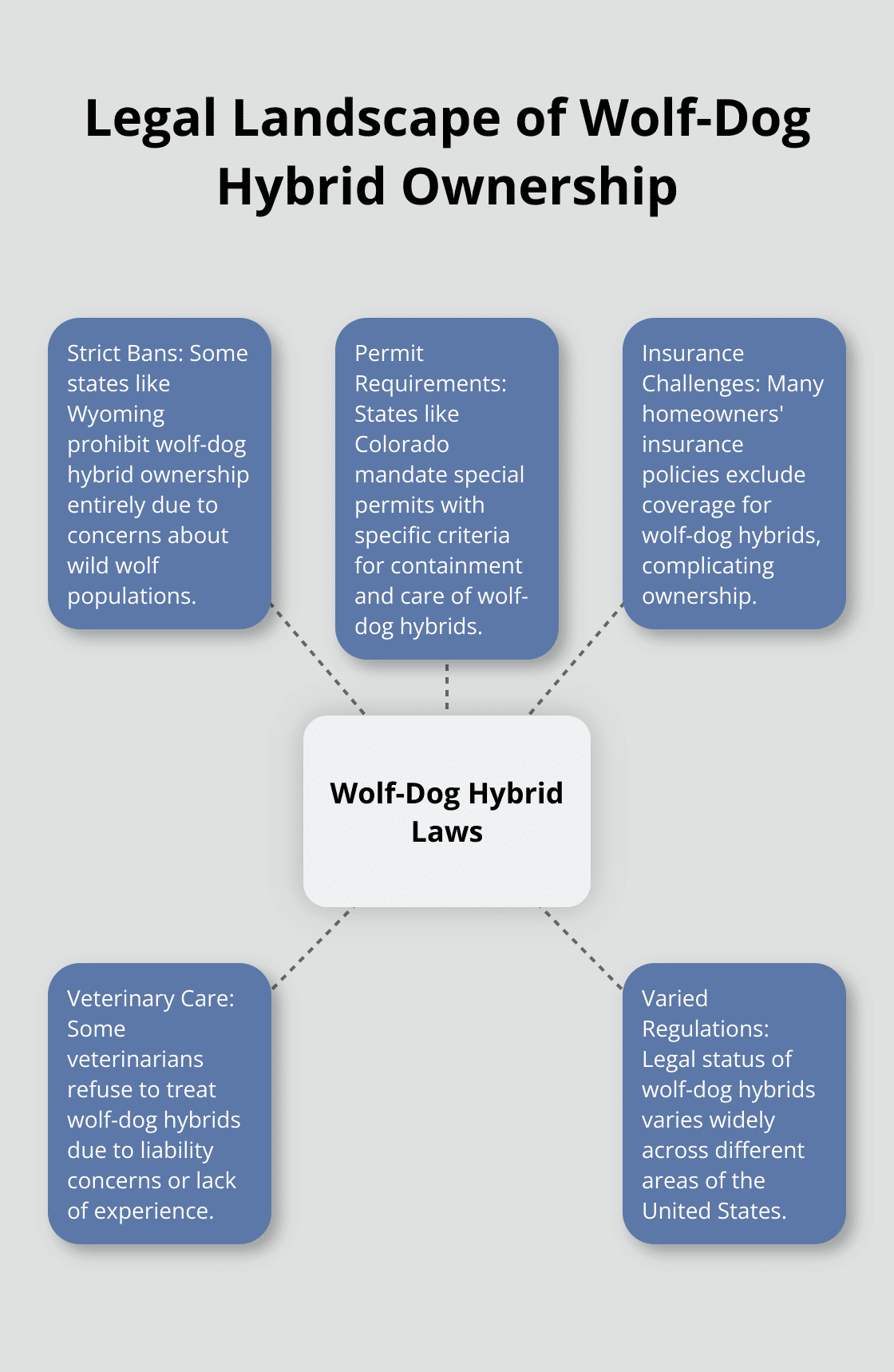A hub-and-spoke chart illustrating the varying legal status of wolf-dog hybrid ownership across the United States