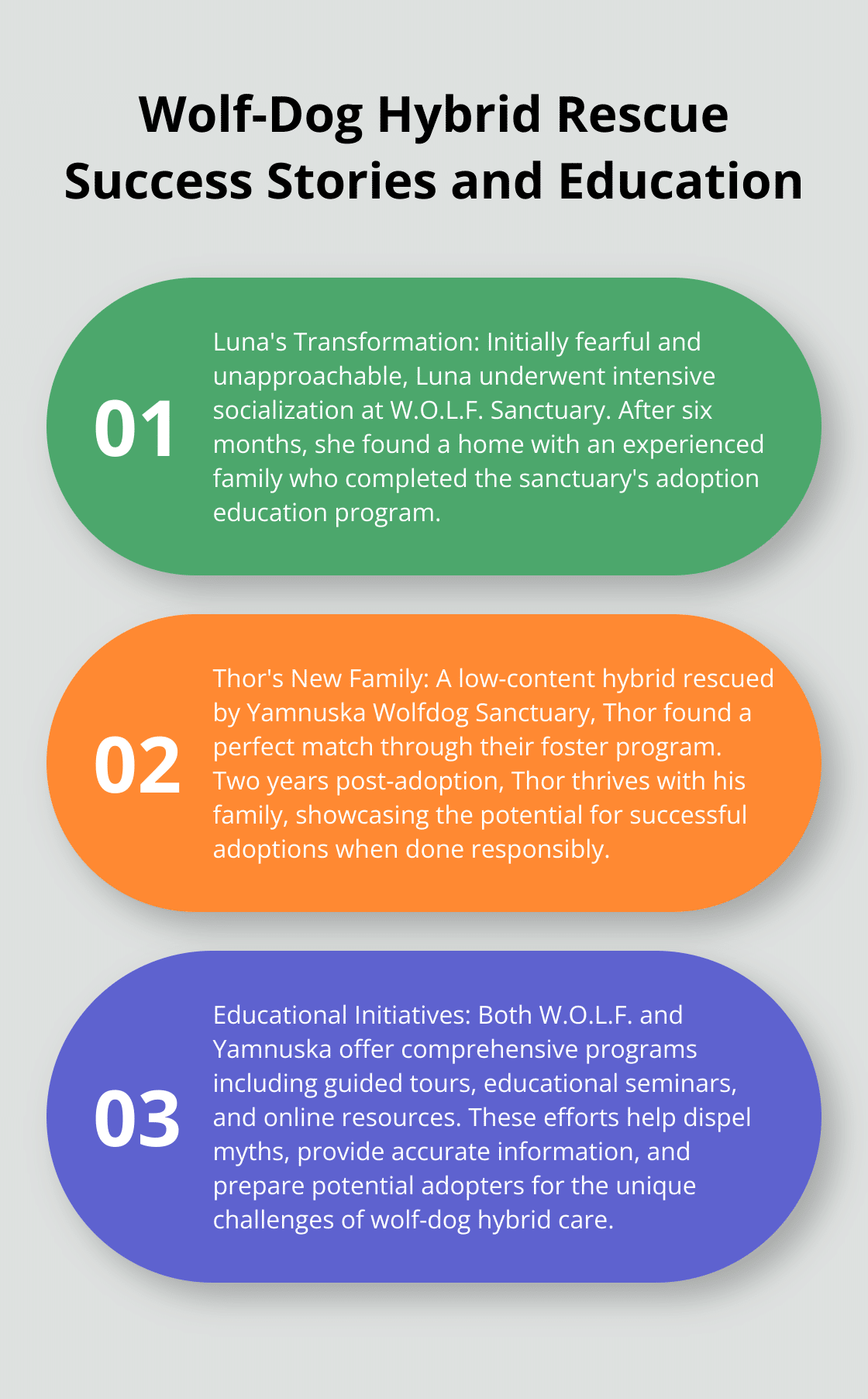 An ordered list highlighting success stories and educational efforts in wolf-dog hybrid rescue